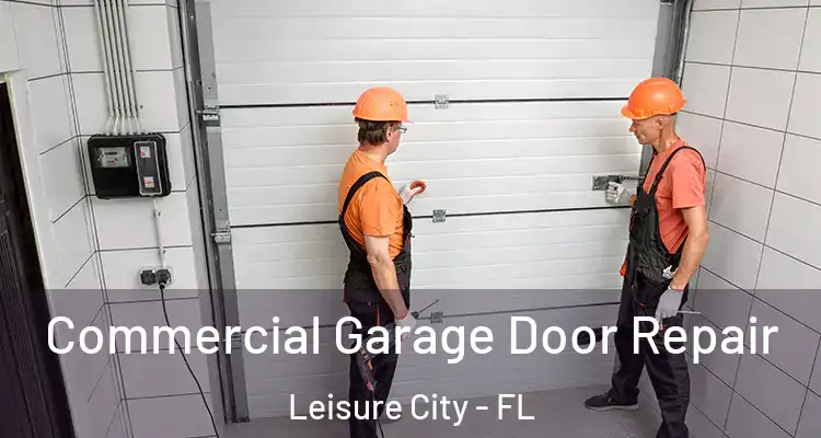  Commercial Garage Door Repair Leisure City - FL