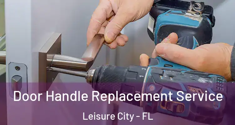  Door Handle Replacement Service Leisure City - FL
