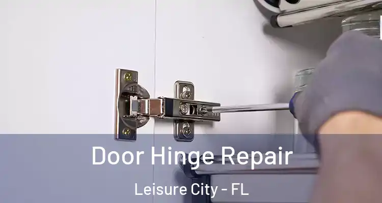  Door Hinge Repair Leisure City - FL