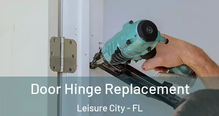  Door Hinge Replacement Leisure City - FL