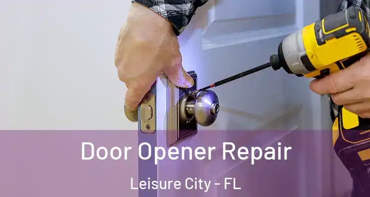  Door Opener Repair Leisure City - FL