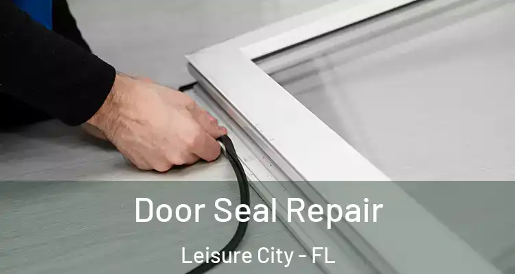  Door Seal Repair Leisure City - FL