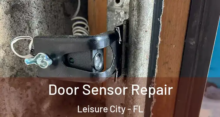  Door Sensor Repair Leisure City - FL