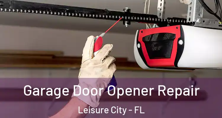  Garage Door Opener Repair Leisure City - FL