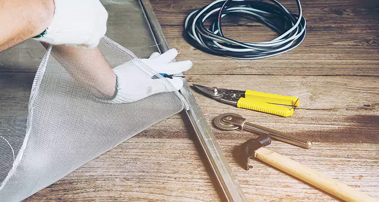 Our Pool Enclosure Mesh Repair Services in Leisure City, FL