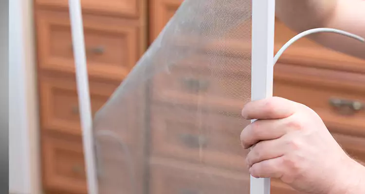 Privacy Mesh Screen Door Installation in Leisure City, FL
