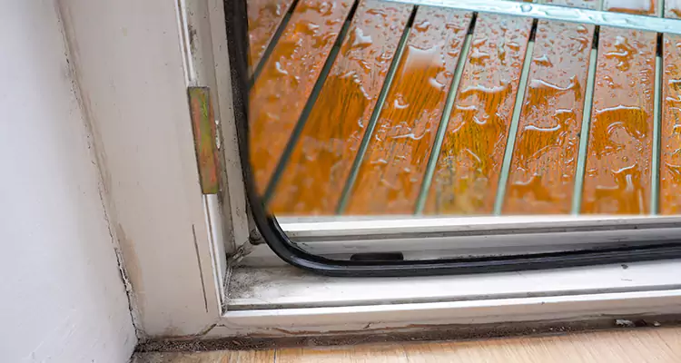 Water Leaking Wooden Patio Doors Repair in Leisure City, FL