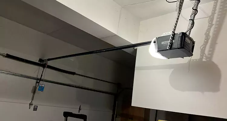 Linear Garage Door Opener Repair in Leisure City, FL