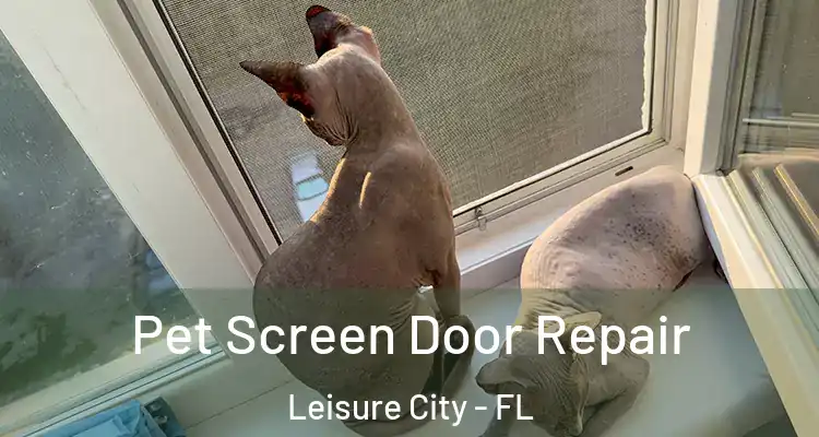  Pet Screen Door Repair Leisure City - FL