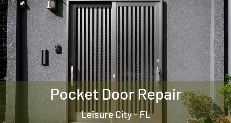  Pocket Door Repair Leisure City - FL
