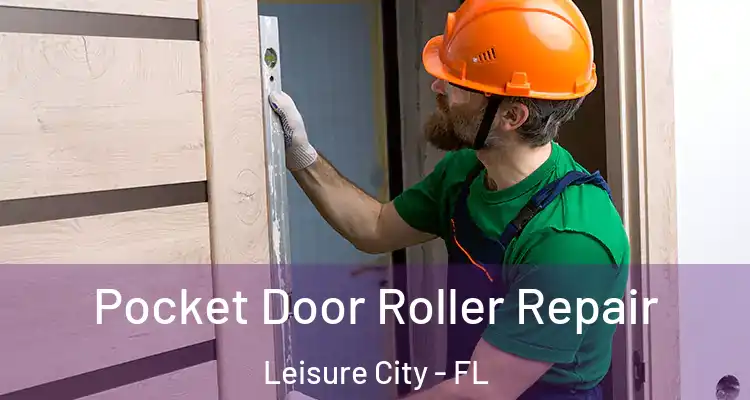  Pocket Door Roller Repair Leisure City - FL