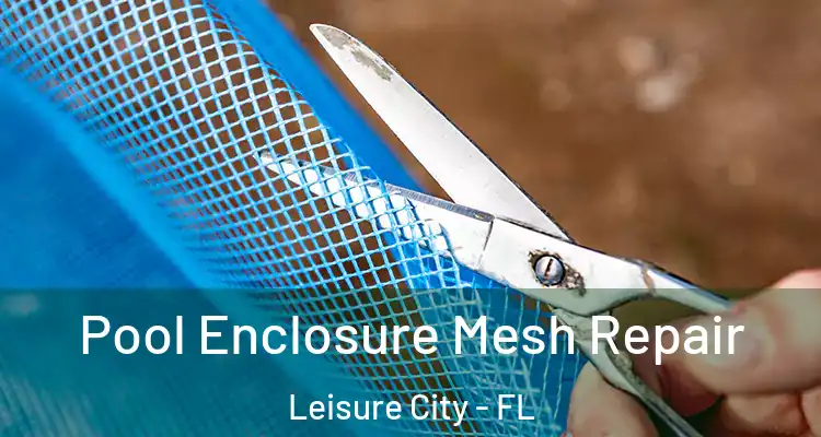  Pool Enclosure Mesh Repair Leisure City - FL