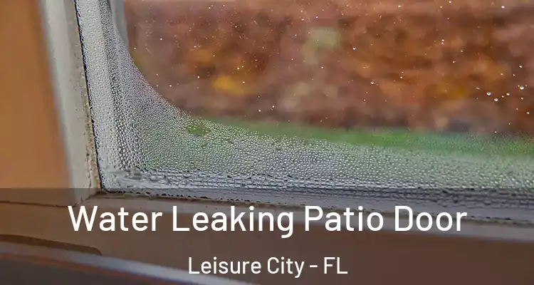  Water Leaking Patio Door Leisure City - FL